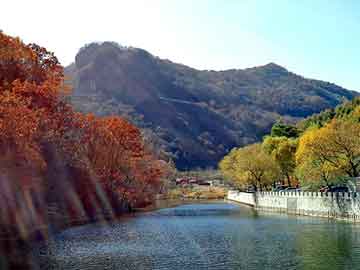 新澳门免费精准大全，山东大葱种植技术